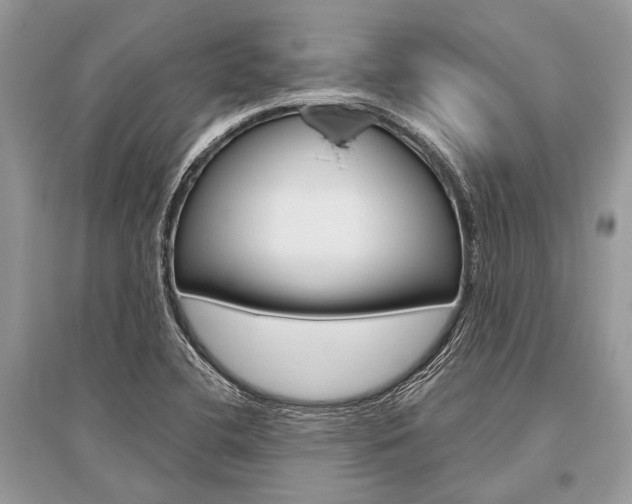 X0000096491412200801241159
