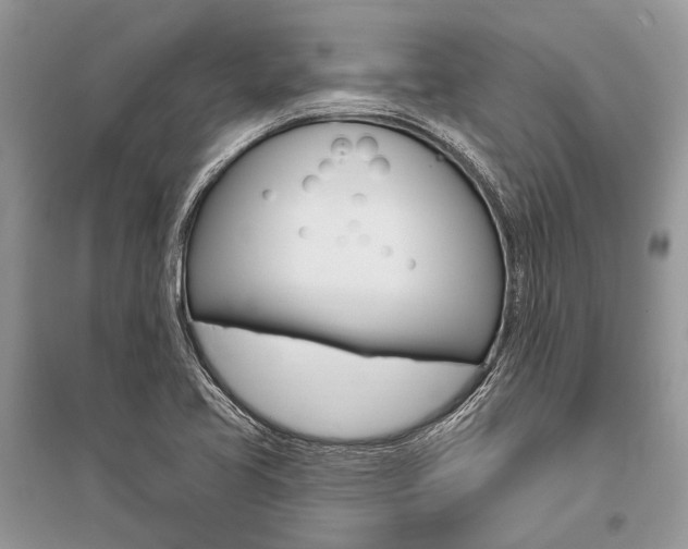 X0000096491413200801241159