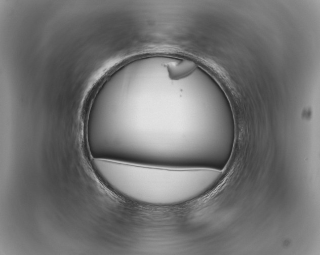 X0000096491414200801241159