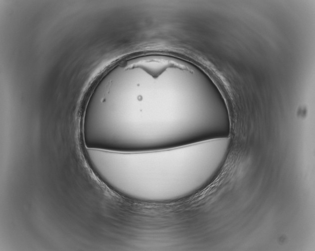 X0000096491416200801241159