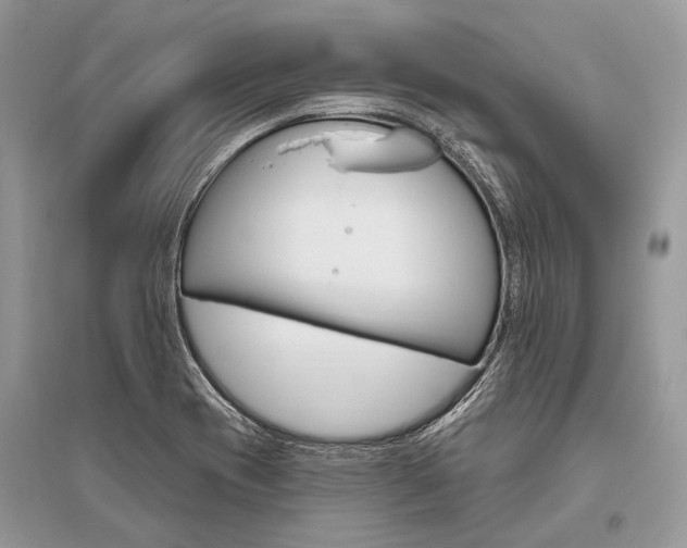 X0000096491417200801241159