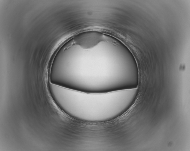 X0000096491418200801241159