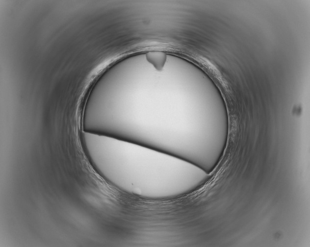 X0000096491419200801241159