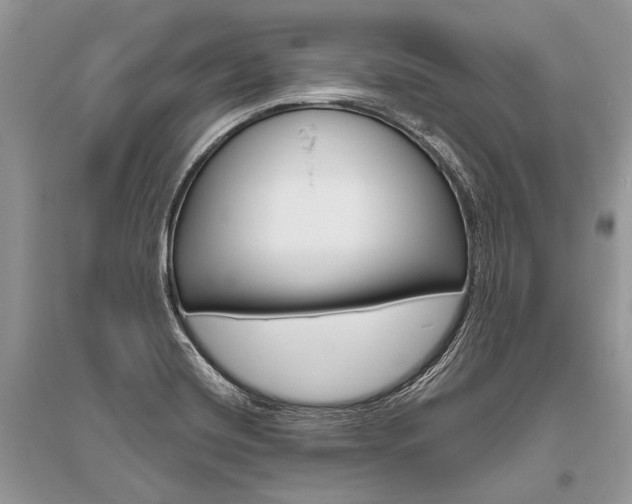 X0000096491420200801241159