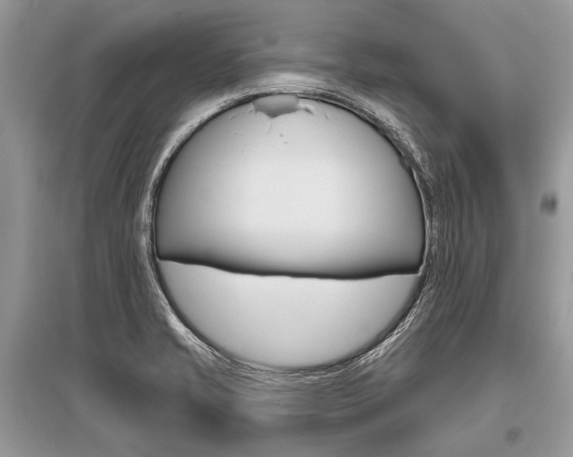 X0000096491421200801241159