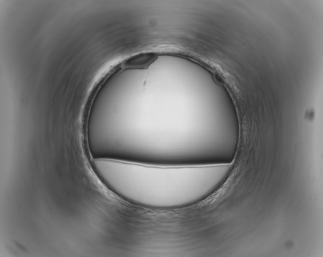 X0000096491422200801241159