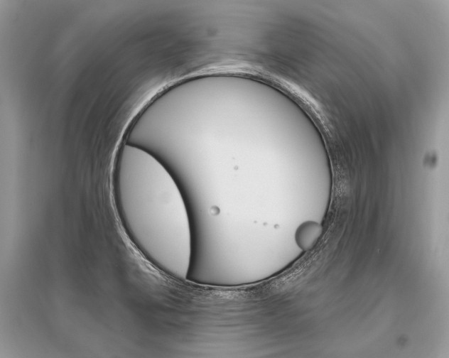 X0000096491423200801241159