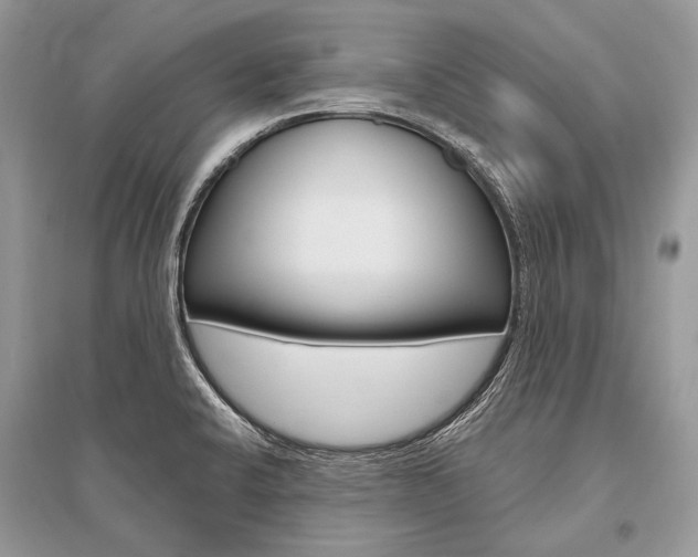 X0000096491424200801241159