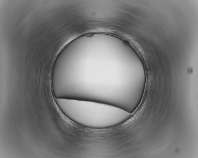 X0000096491425200801241200