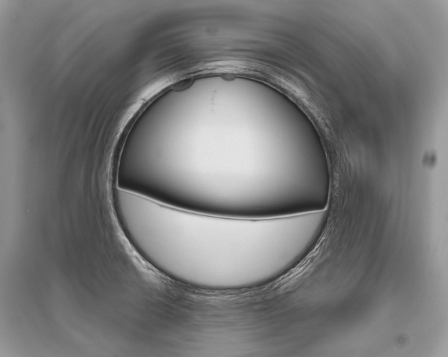 X0000096491426200801241200