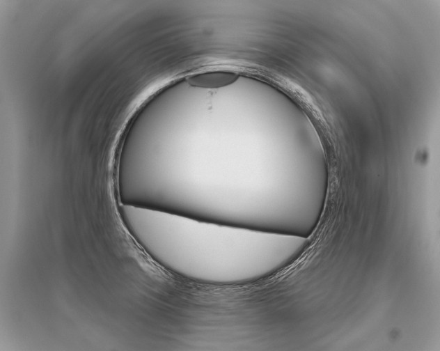 X0000096491427200801241200