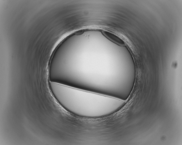 X0000096491428200801241200