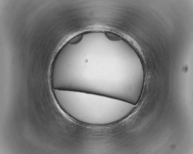 X0000096491429200801241200