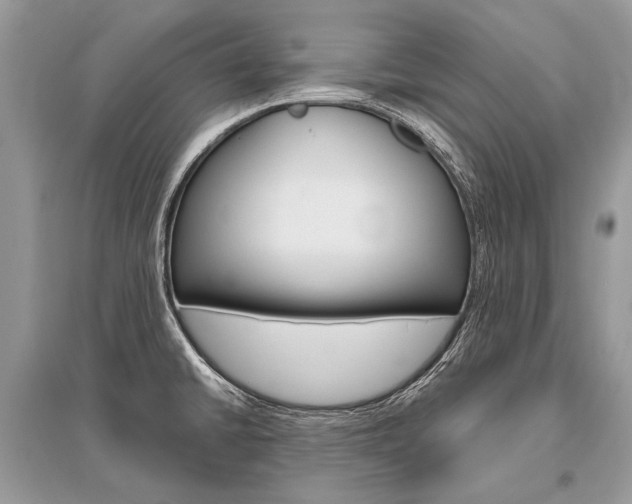 X0000096491430200801241200