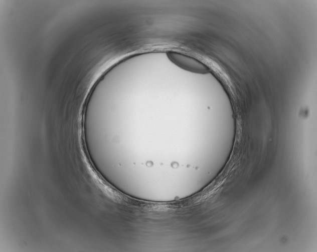 X0000096491431200801241200