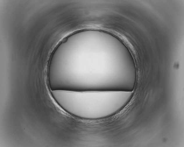 X0000096491432200801241200