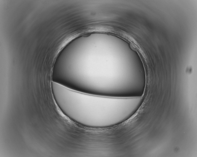 X0000096491433200801241200
