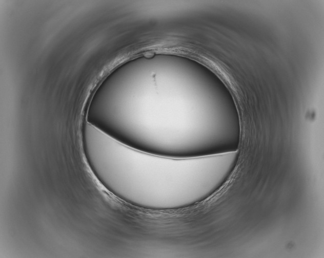 X0000096491434200801241200