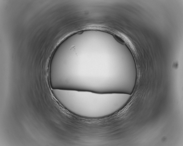 X0000096491435200801241200