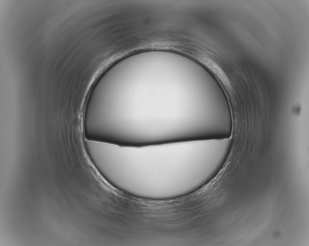 X0000096491436200801241200
