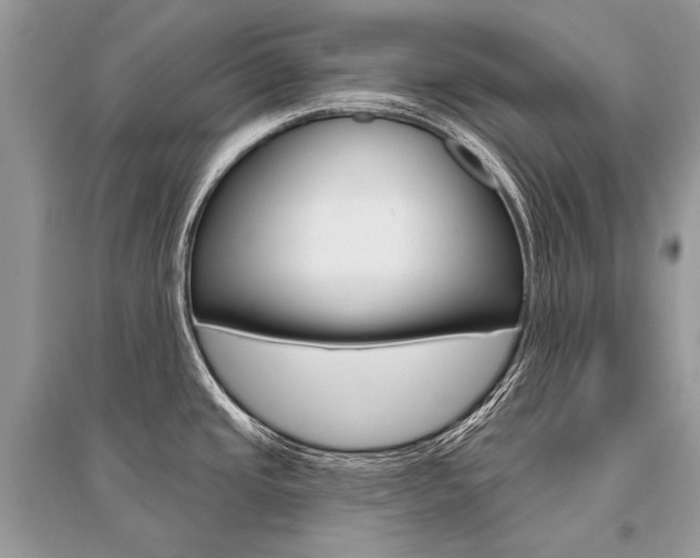 X0000096491437200801241200