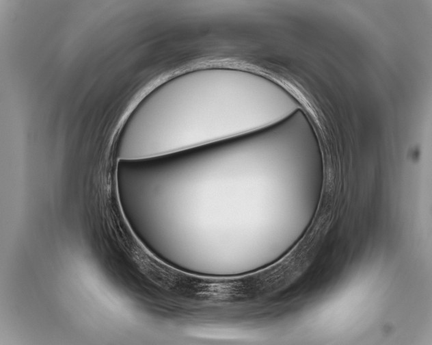 X0000096491438200801241200
