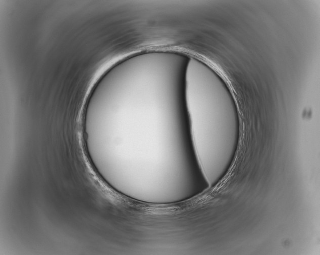 X0000096491440200801241200