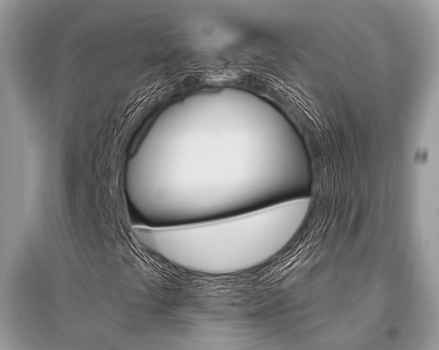 X0000096491441200801241159