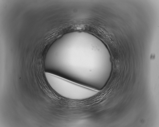 X0000096491442200801241159