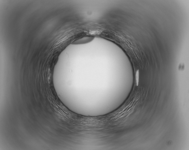 X0000096491443200801241159