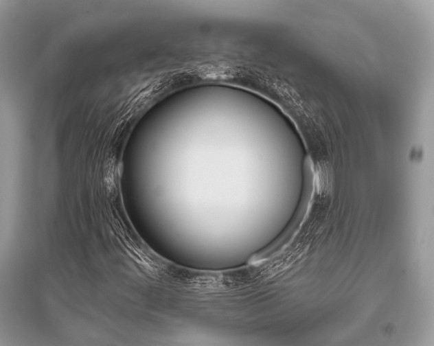 X0000096491444200801241159