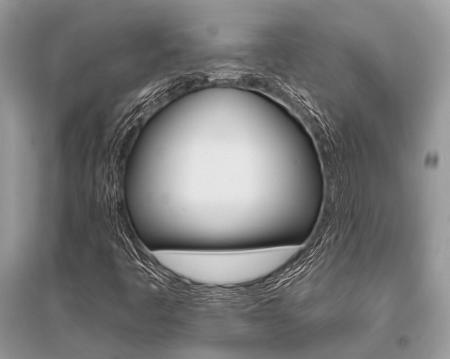 X0000096491445200801241159