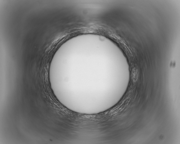 X0000096491446200801241159