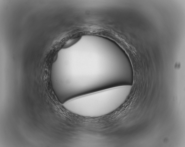 X0000096491447200801241159