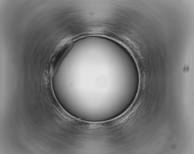 X0000096491449200801241159