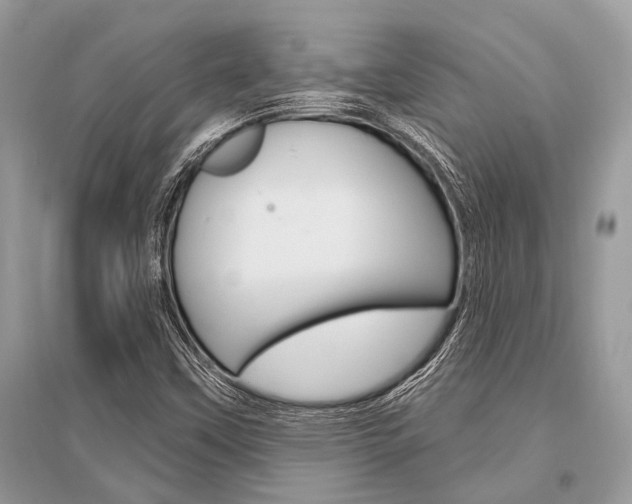 X0000096491451200801241159