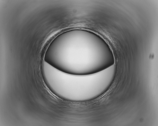 X0000096491452200801241159