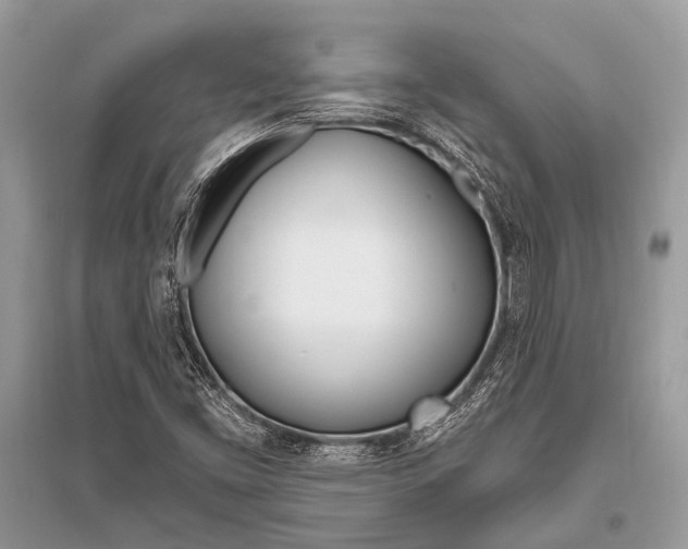 X0000096491453200801241159