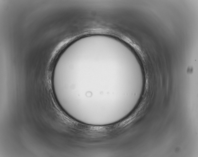 X0000096491454200801241159