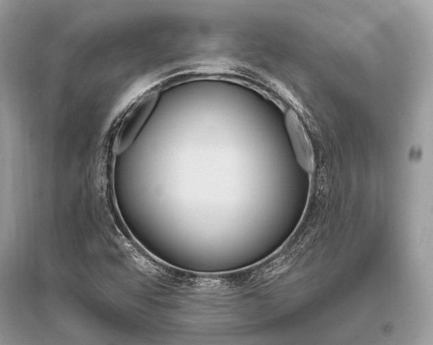 X0000096491456200801241159