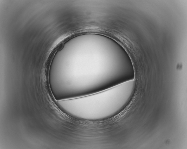X0000096491458200801241159