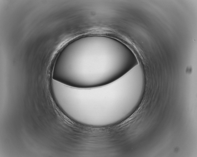 X0000096491459200801241159