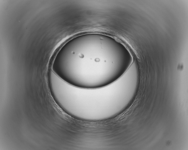 X0000096491460200801241159