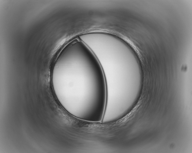 X0000096491461200801241159