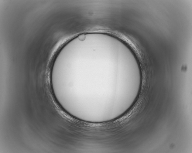 X0000096491462200801241159