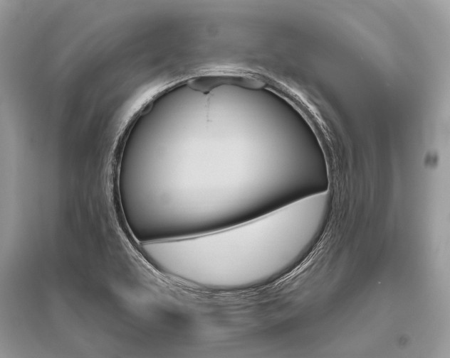 X0000096491463200801241159