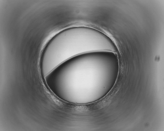 X0000096491464200801241159