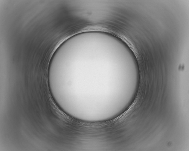 X0000096491465200801241159