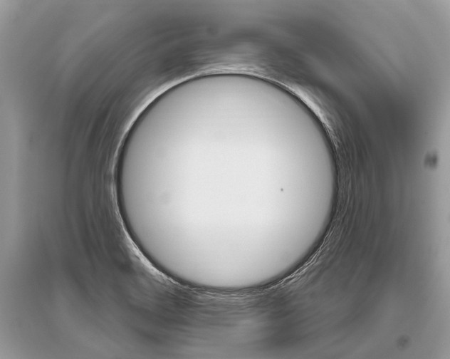 X0000096491468200801241159