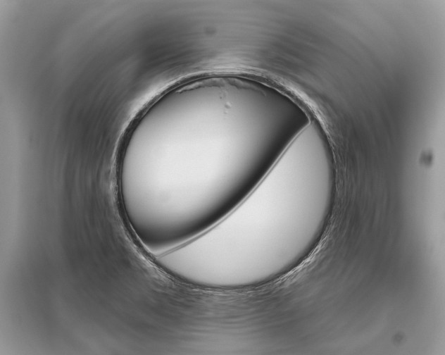 X0000096491469200801241158